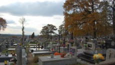Cmentarz Czernichów, Wołowice