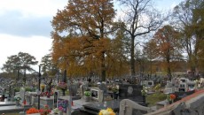 Cmentarz Czernichów, Wołowice