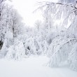 Składki na ubezpieczenie zdrowotne rolników i domowników za 2012 r.