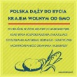 GMO – obalamy mity