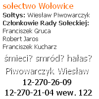 sołtys wołowice