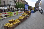 13. Cracovia Maraton strefa odżywcza.JPG